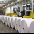 paper factory